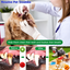 Dog Puzzle Teething Toys Balls for Medium to Large dogs