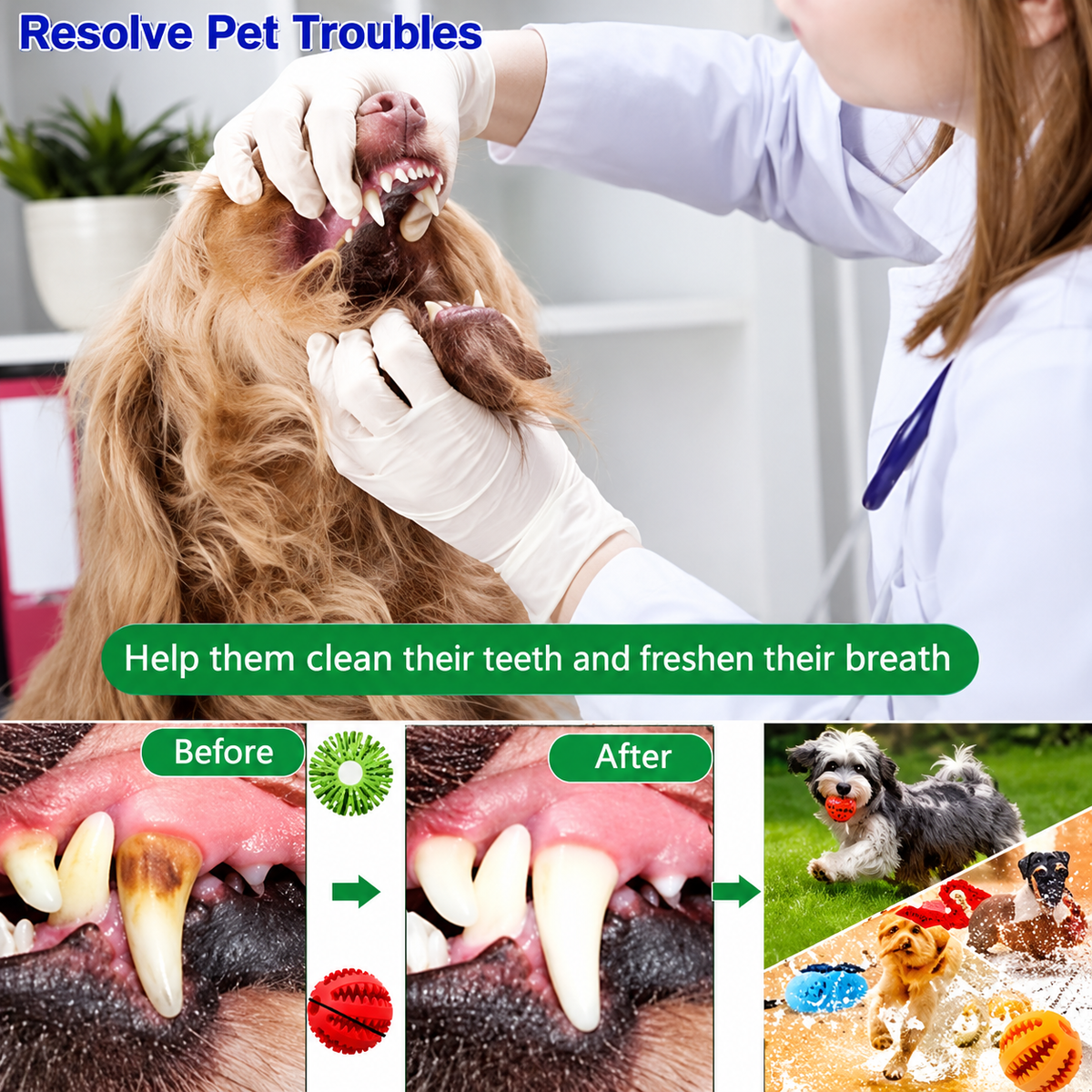 Dog Puzzle Teething Toys Balls for Medium to Large dogs
