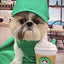 Star Pups Coffee Dog Toy Pup'kin Spice Latte