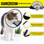 XXXS Pet Recovery Cone