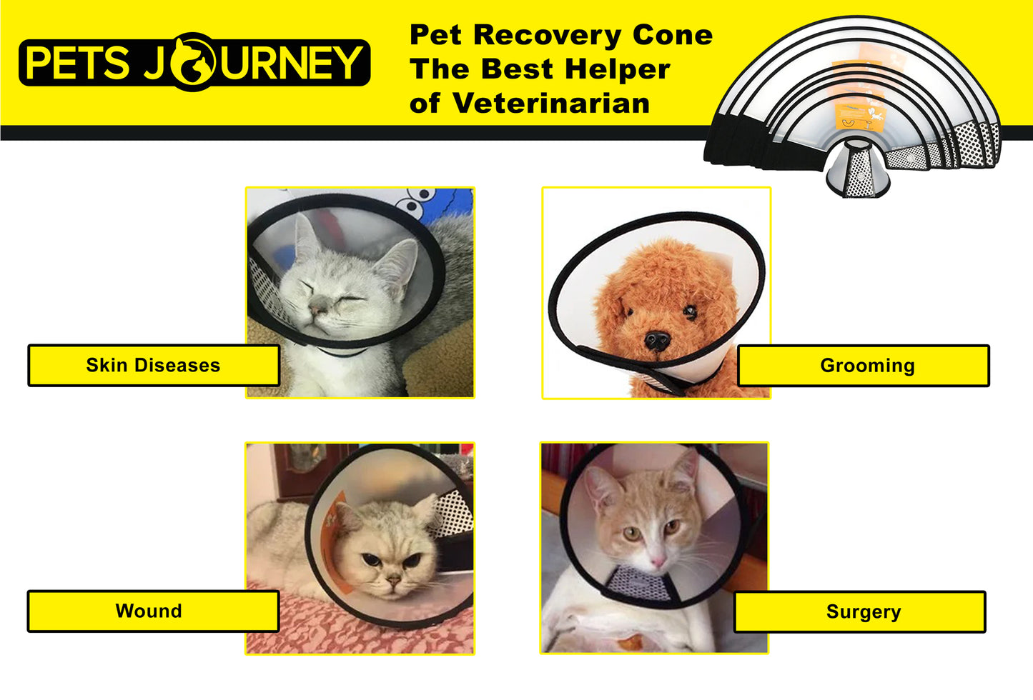 L Pet Recovery Cone