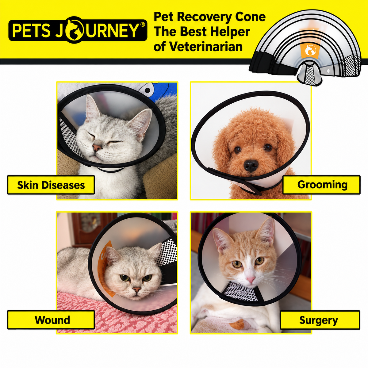 XXXS Pet Recovery Cone