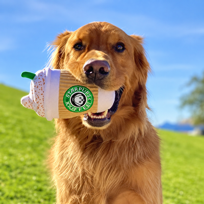 Star Pups Coffee Dog Toy Pup'kin Spice Latte